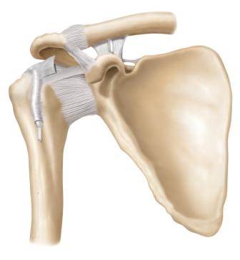 Acupuncture Effective for Adhesive Capsulitis Pain Acupuncture Effective for Adhesive Capsulitis Pain