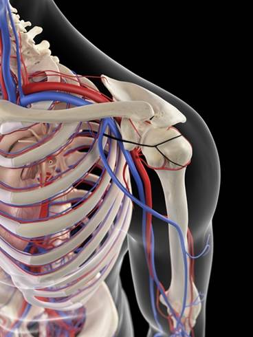 Thoracic Outlet Syndrome: Diagnosis, Clinical Management Thoracic Outlet Syndrome: Diagnosis, Clinical Management