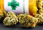Cannabis Use Associated With Relationship Between Pain and Negative Affect Cannabis Use Associated With Relationship Between Pain and Negative Affect