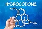 Hydrocodone Prodrug May Reduce Abuse Potential Hydrocodone Prodrug May Reduce Abuse Potential