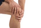 Improved Knee Cartilage Models Could Aid in Treatments Improved Knee Cartilage Models Could Aid in Treatments