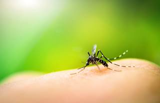 Interim guidelines have been developed for the evaluation and testing of infants born to mothers who traveled to or resided in an area with Zika virus transmission during pregnancy. Interim guidelines have been developed for the evaluation and testing of infants born to mothers who traveled to or resided in an area with Zika virus transmission during pregnancy.