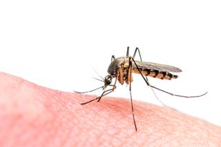 All reported sexually transmitted infections have been from men to women. All reported sexually transmitted infections have been from men to women.