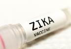 Time of Zika's Arrival in the Americas Time of Zika's Arrival in the Americas