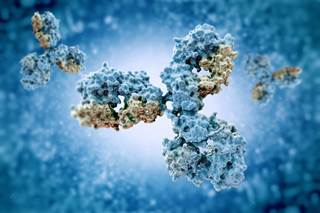 This study supports the utility of anti-ficolin-2 antibodies as an additional serologic biomarker for the diagnosis of active SLE with renal manifestations. This study supports the utility of anti-ficolin-2 antibodies as an additional serologic biomarker for the diagnosis of active SLE with renal manifestations.