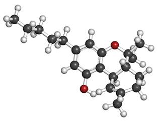 Spinal cord injury patients treated with vaporized cannabis had a significant analgesic response over placebo. Spinal cord injury patients treated with vaporized cannabis had a significant analgesic response over placebo.