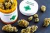 American Pain Society Issues Guidance on Medical Marijuana for Pain American Pain Society Issues Guidance on Medical Marijuana for Pain