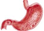 Metamizole Could Be Alternative to Classical NSAIDs for Postoperative Pain Management Metamizole Could Be Alternative to Classical NSAIDs for Postoperative Pain Management