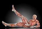 Neuromuscular Strain May Exacerbate Chronic Fatigue Syndrome-Associated Symptoms Neuromuscular Strain May Exacerbate Chronic Fatigue Syndrome-Associated Symptoms