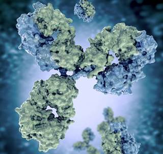Emerging evidence implicates autoantibodies in autoimmune disorder-related pain. Emerging evidence implicates autoantibodies in autoimmune disorder-related pain.