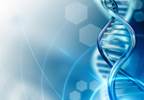 Migraine and Depression: Shared Genetics Migraine and Depression: Shared Genetics