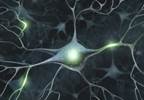 Parkinson's Intestinal Gel May Cause Neuropathic Pain Parkinson's Intestinal Gel May Cause Neuropathic Pain