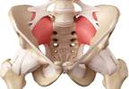 Platelet-Rich Plasma Injection Alleviates Low Back Pain Involving Sacroiliac Joint Platelet-Rich Plasma Injection Alleviates Low Back Pain Involving Sacroiliac Joint