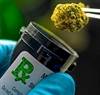 Improving Medication Adherence to Mitigate Adverse Effects of Cannabis on Psychosis Relapse Improving Medication Adherence to Mitigate Adverse Effects of Cannabis on Psychosis Relapse
