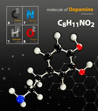 Ziprasidone is known to modulate the dopaminergic system in a similar manner as droperidol and haloperidol. Ziprasidone is known to modulate the dopaminergic system in a similar manner as droperidol and haloperidol.