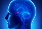 Understanding Fear and Anxiety to Develop Adequate Treatments Understanding Fear and Anxiety to Develop Adequate Treatments