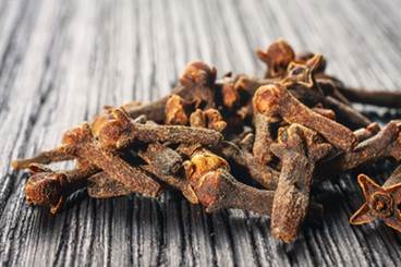 Cloves for Oral Cavity Pain Cloves for Oral Cavity Pain