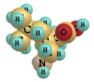 The use of other medications did not mask the effects of pregabalin. The use of other medications did not mask the effects of pregabalin.