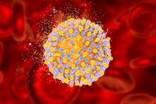 Certain pain medications may not be appropriate in some patients with HCV. Certain pain medications may not be appropriate in some patients with HCV.