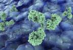 Etanercept Associated With Lower Infection Than Monoclonal Antibodies Etanercept Associated With Lower Infection Than Monoclonal Antibodies