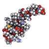 Orexin Receptor Antagonist Ineffective on Painful Diabetic Neuropathy Orexin Receptor Antagonist Ineffective on Painful Diabetic Neuropathy