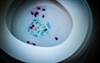 Little Packaging Information on Storage, Disposal of Opioid Pain-Relievers Little Packaging Information on Storage, Disposal of Opioid Pain-Relievers