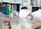 Addressing Barriers to Translational Pain Research Addressing Barriers to Translational Pain Research