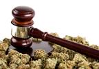 Marijuana's Uncertain Status: Closing the Gap Between State and Federal Policies Marijuana's Uncertain Status: Closing the Gap Between State and Federal Policies