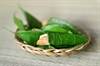 Betel Quid Addiction and Implications for Substance Use Disorder Betel Quid Addiction and Implications for Substance Use Disorder