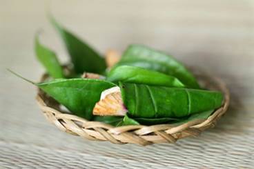 Betel Quid Addiction and Implications for Substance Use Disorder Betel Quid Addiction and Implications for Substance Use Disorder