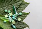 Case Report Reveals Another Possible Side Effect of Kratom Case Report Reveals Another Possible Side Effect of Kratom