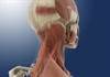 Peripheral Nerve Blocks for Headache Disorders: Expert Roundtable Peripheral Nerve Blocks for Headache Disorders: Expert Roundtable