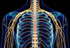 Ultrasound-Guided Pulsed Radiofrequency May Be Effective for Thoracic Post-Herpetic Neuralgia Pain Ultrasound-Guided Pulsed Radiofrequency May Be Effective for Thoracic Post-Herpetic Neuralgia Pain