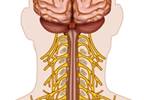 Superficial Cervical Plexus Block May Be Safe, Effective for Emergency Medicine Use Superficial Cervical Plexus Block May Be Safe, Effective for Emergency Medicine Use
