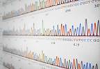 Polymorphisms Associated With Higher Opioid Requirements in Advanced Cancer Polymorphisms Associated With Higher Opioid Requirements in Advanced Cancer