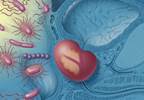 Treating Chronic Prostatitis/Chronic Pelvic Pain as a Psychoneuromuscular Disorder Shows Benefits Treating Chronic Prostatitis/Chronic Pelvic Pain as a Psychoneuromuscular Disorder Shows Benefits