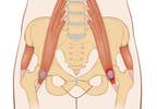 Factors Associated With Dynamic Balance in Greater Trochanteric Pain Syndrome Factors Associated With Dynamic Balance in Greater Trochanteric Pain Syndrome