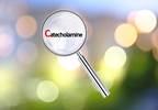 Effects of Mindfulness Therapy, Pharmacologic Prophylaxis on Catecholamine Levels in Migraine Effects of Mindfulness Therapy, Pharmacologic Prophylaxis on Catecholamine Levels in Migraine